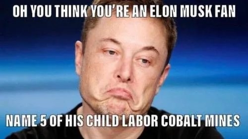 OH YOU THINK YOU'RE AN ELON MUSK FAN
NAME 5 OF HIS CHILD LABOR COBALT MINES
