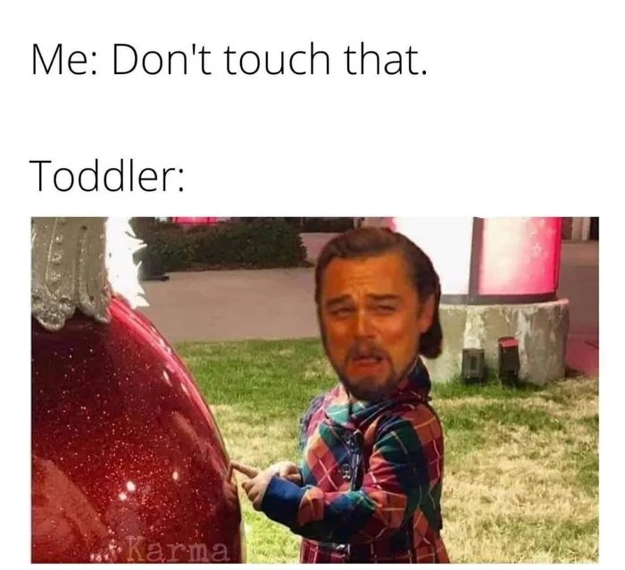 Me: Don't touch that.
Toddler:
Karma

