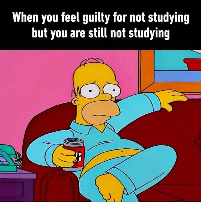 When you feel guilty for not studying
but you are still not studying
