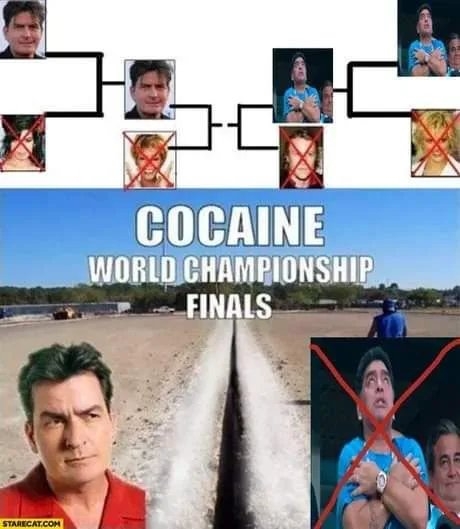 COCAINE
WORLD CHAMPIONSHIP
FINALS
AC
STARECAT.COM
