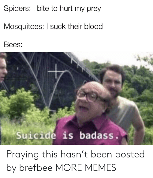 Spiders: I bite to hurt my prey
Mosquitoes: I suck their blood
Bees:
Suicide is badass.
