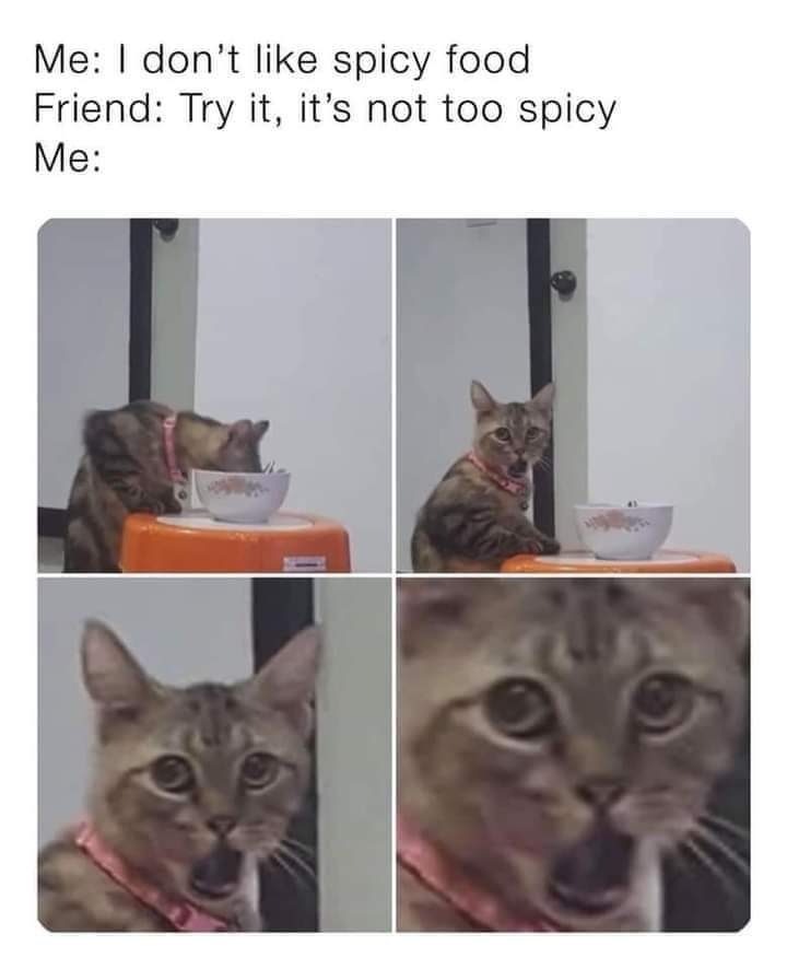 Me: I don't like spicy food
Friend: Try it, it's not too spicy
Me:
