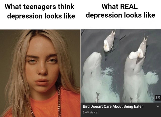 What teenagers think
depression looks like depression looks like
What REAL
3.22
Bird Doesn't Care About Being Eaten
6.6M views

