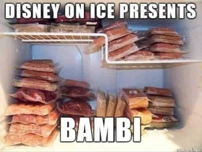 DISNEY ON ICE PRESENTS
BAMBI
