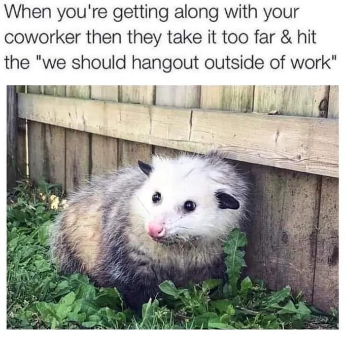 When you're getting along with your
coworker then they take it too far & hit
the 