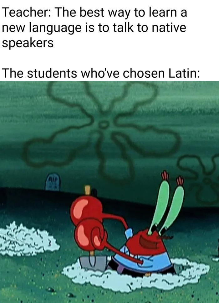 Teacher: The best way to learn a
new language is to talk to native
speakers
The students who've chosen Latin:
RIP
