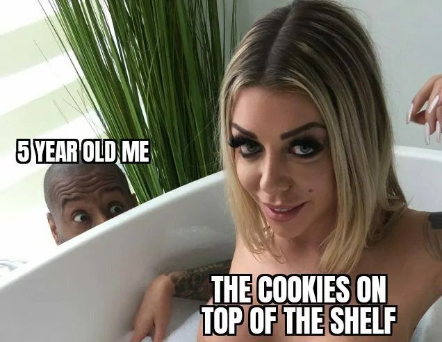 5 YEAR OLD ME
THE COOKIES ON
TOP OF THE SHELF
