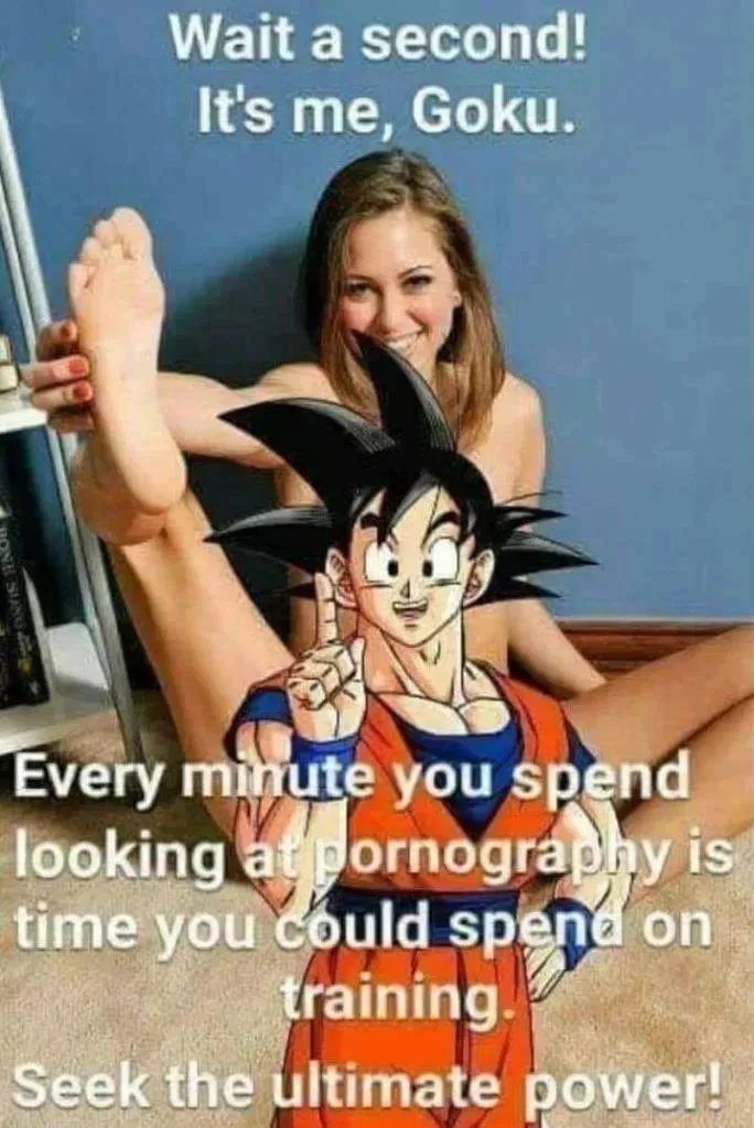 Wait a second!
It's me, Goku.
Every minute you spend
looking atpornography is
time you could spena on
training.
Seek the ultimate power!
