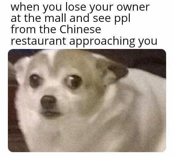 when you lose your owner
at the mall and see ppl
from the Chinese
restaurant approaching you
