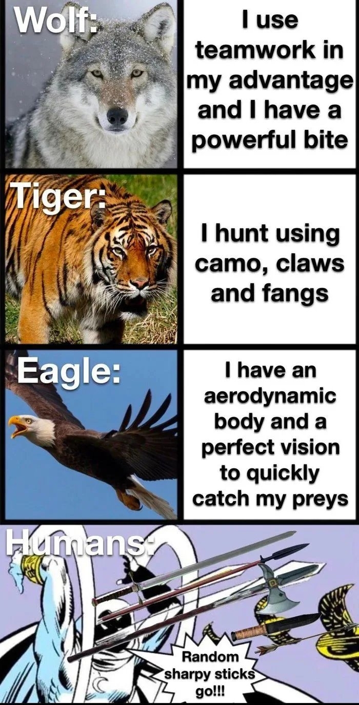 Wolf:
I use
teamwork in
my advantage
and I have a
powerful bite
Tiger:
I hunt using
camo, claws
and fangs
Eagle:
I have an
aerodynamic
body and a
perfect vision
to quickly
catch my preys
Hamans
Random
sharpy sticks
go!!!
