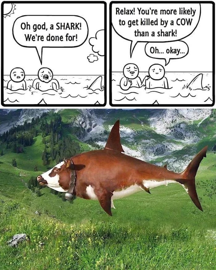 Oh god, a SHARK!
We're done for!
Relax! You're more likely
to get killed by a COW
than a shark!
Oh... okay.
