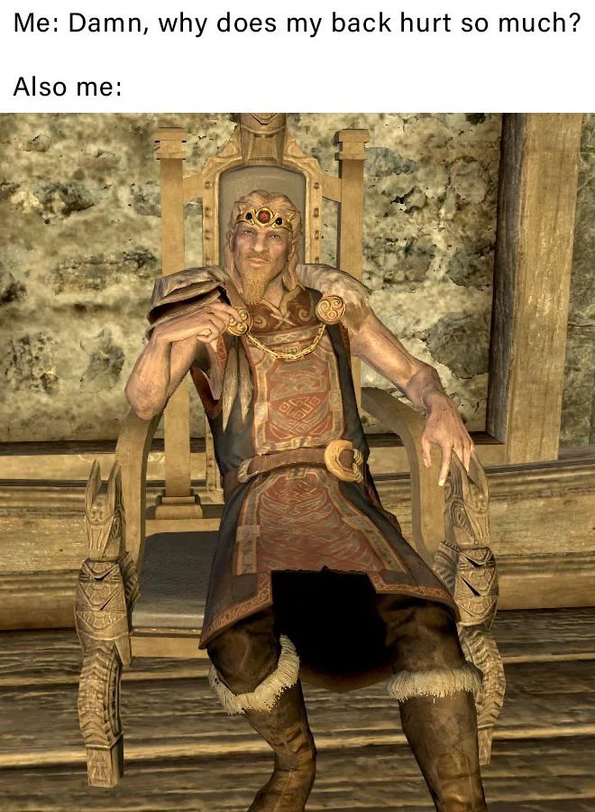 Me: Damn, why does my back hurt so much?
Also me:
