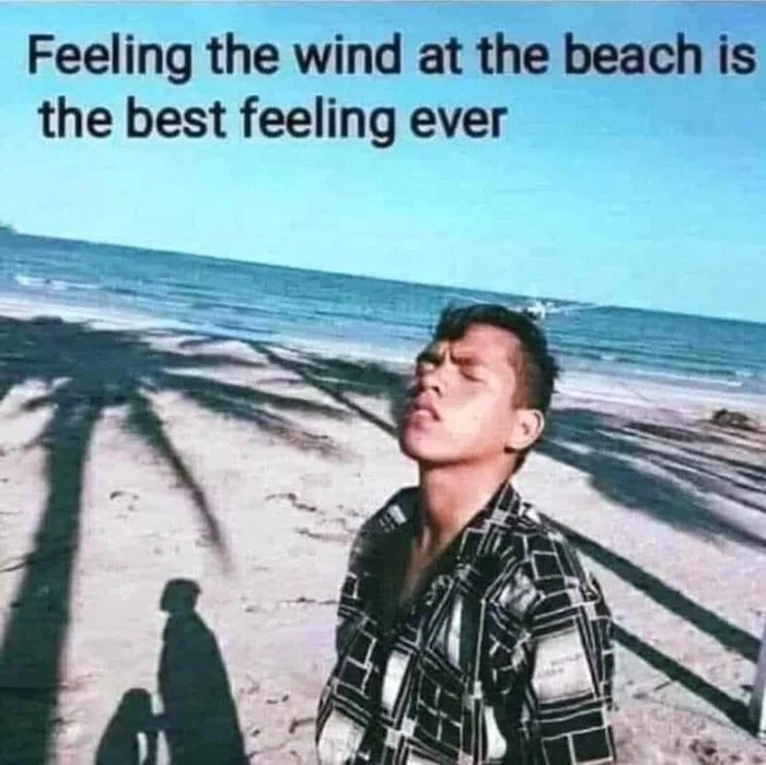 Feeling the wind at the beach is
the best feeling ever
