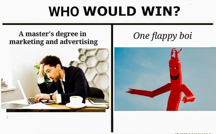 WHO WOULD WIN?
A master's degree in
marketing and advertising
One flappy boi
