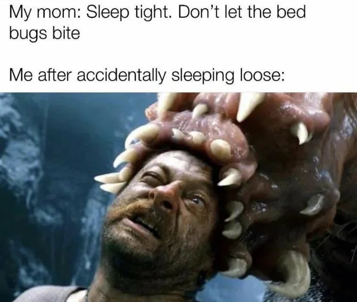 My mom: Sleep tight. Don't let the bed
bugs bite
Me after accidentally sleeping loose:
