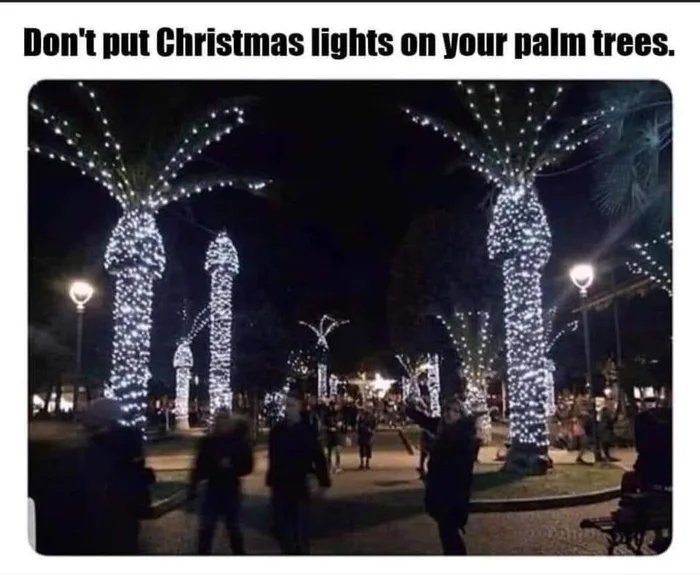 Don't put Christmas lights on your palm trees.
