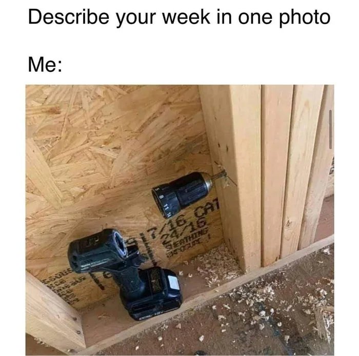 Describe your week in one photo
Мe:
1746 CA7
24/16
STEATHINS
