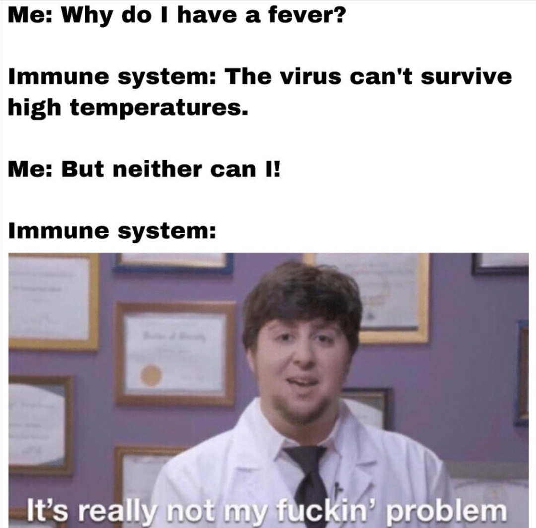 Me: Why do I have a fever?
Immune system: The virus can't survive
high temperatures.
Me: But neither can I!
Immune system:
It's really not my fuckin' problem
