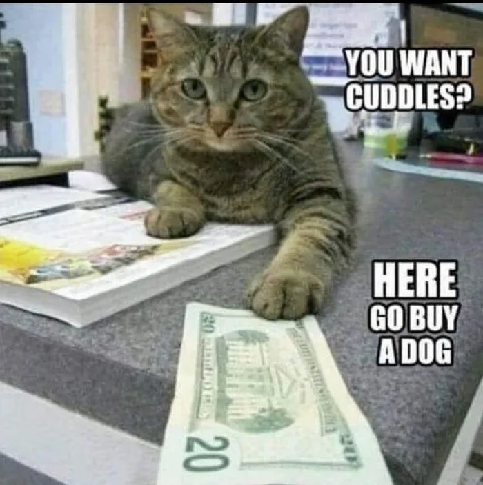YOU WANT
CUDDLES?
HERE
GO BUY
A DOG
20
