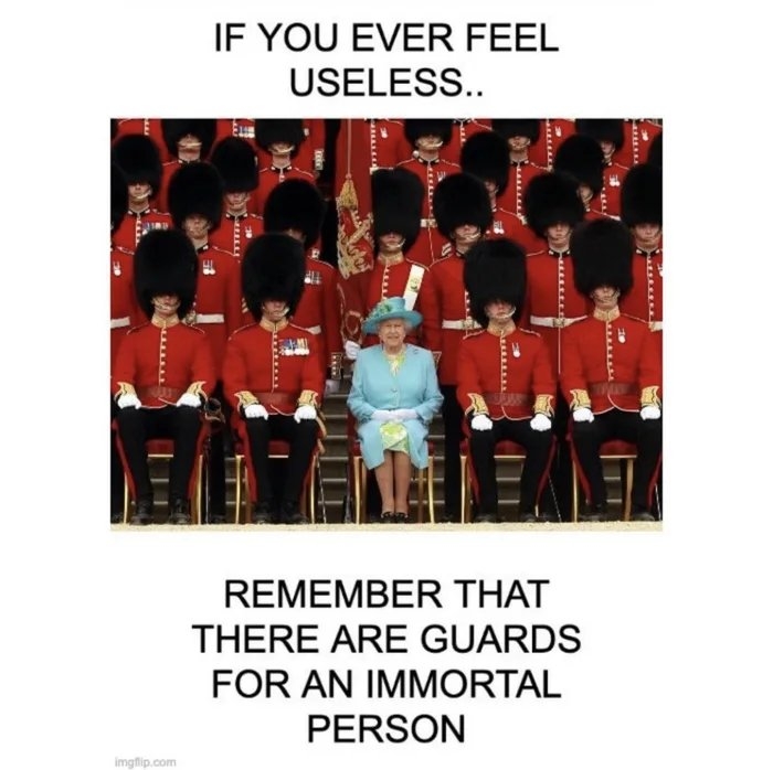 IF YOU EVER FEEL
USELESS..
REMEMBER THAT
THERE ARE GUARDS
FOR AN IMMORTAL
PERSON
imgflip.com

