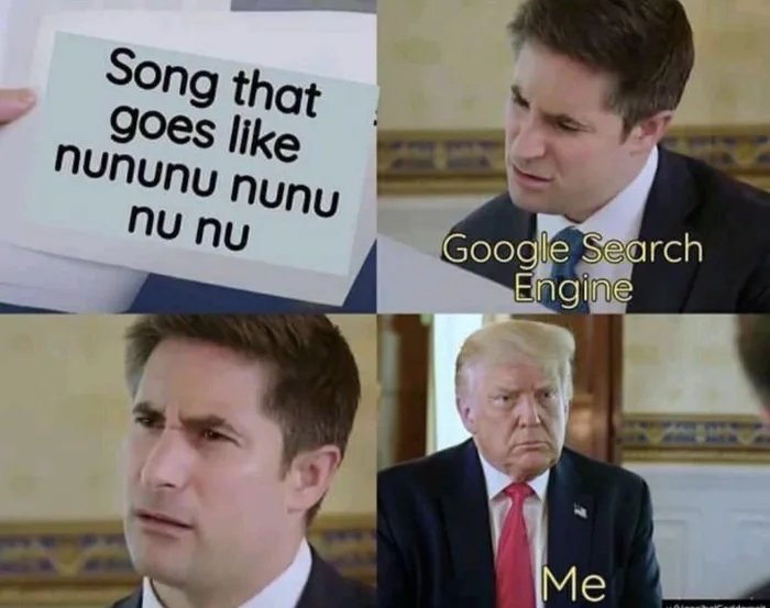 Song that
goes like
nununu nunu
Google Search
Engine
nu nu
Me
