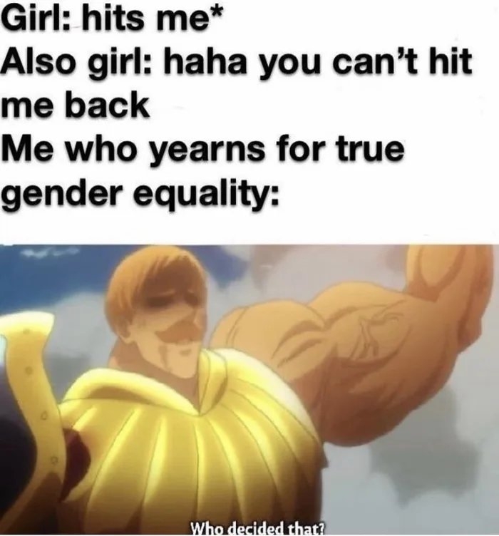 Girl: hits me*
Also girl: haha you can't hit
me back
Me who yearns for true
gender equality:
Who decided that?
