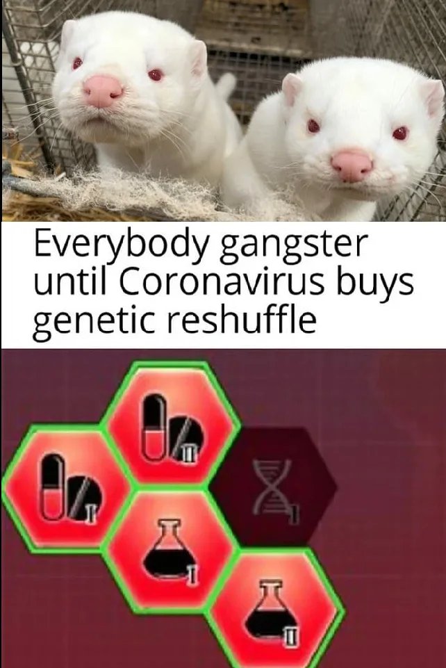 Everybody gangster
until Coronavirus buys
genetic reshuffle
