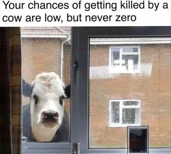 Your chances of getting killed by a
cow are low, but never zero
