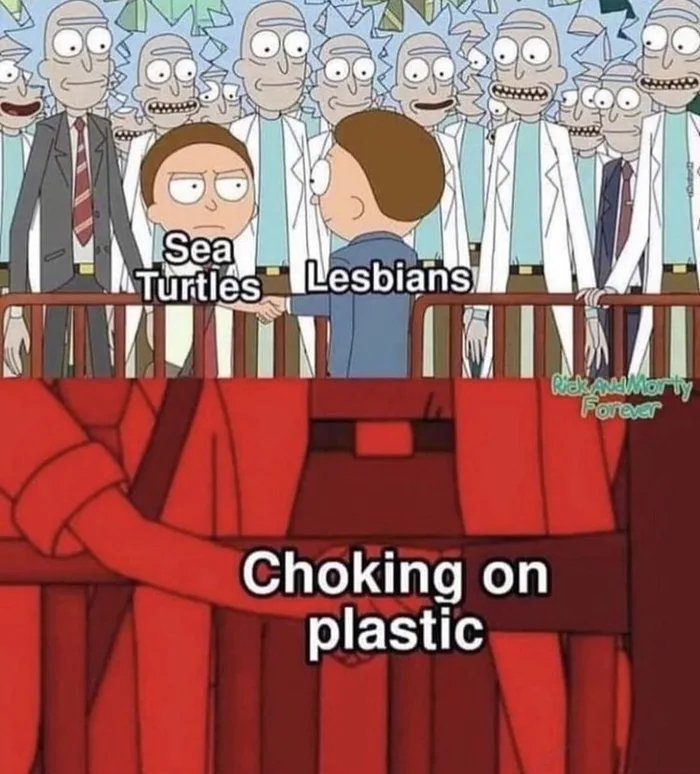 Sea
Turtles Lesbians
KAMMorty
Foreer
Choking on
plastic
