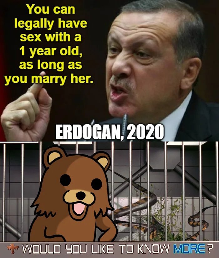 You can
legally have
sex with a
1 year old,
as long as
you marry her.
ERDOGAN, 2020
WOULD YOU LIKE TO KNOW MORE?
